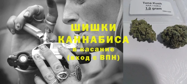 винт Белокуриха