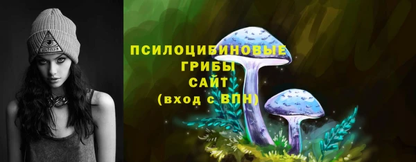винт Белокуриха
