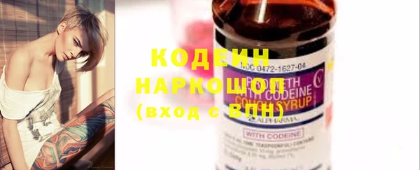 прущие грибы Богданович