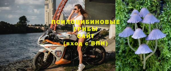винт Белокуриха