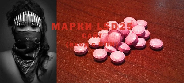 прущие грибы Богданович