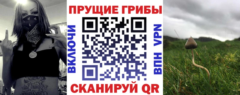 продажа наркотиков Велиж Псилоцибиновые грибы GOLDEN TEACHER